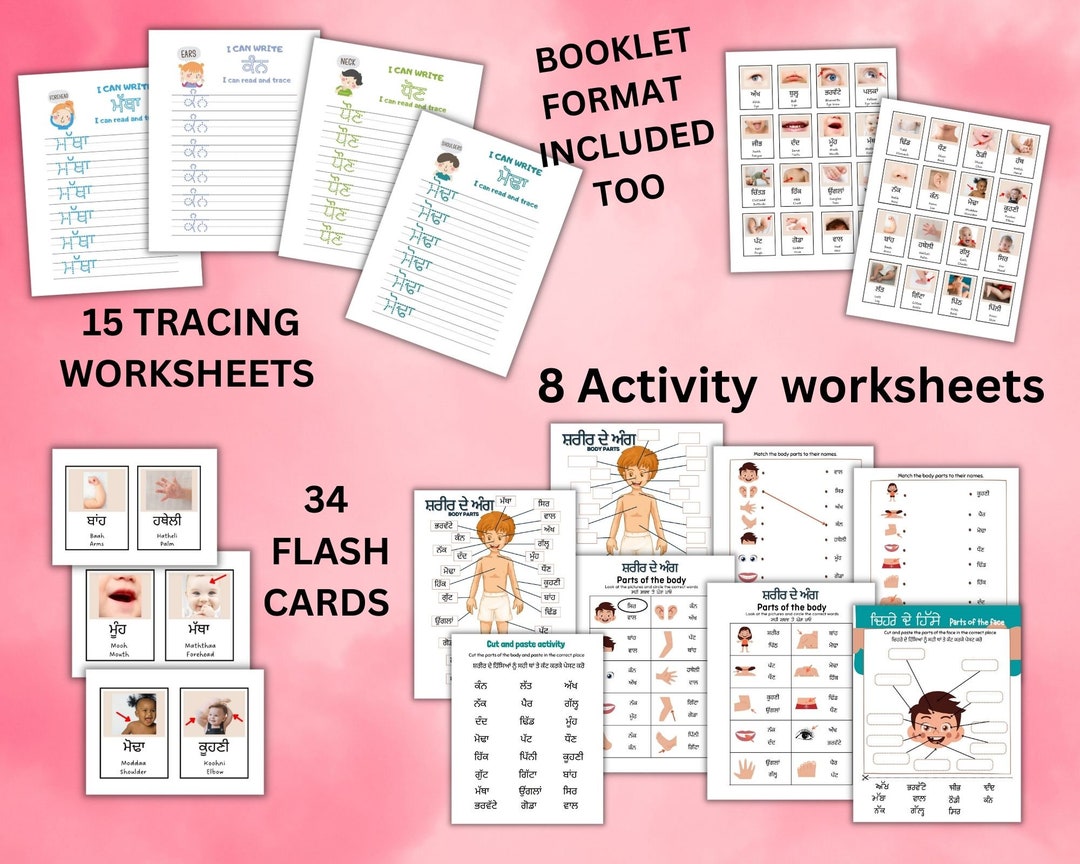 Body Parts Activity Tracing Book, Body Parts in Punjabi and English ...