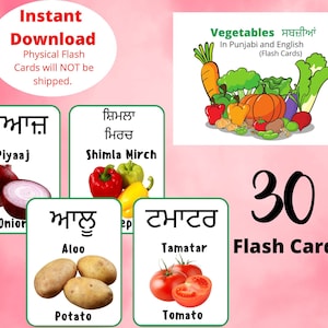 Vegetables in Punjabi Flash Cards,Printable Flash Cards,Punjabi English Bilingual Cards,Homeschooling Resources,Digital Download
