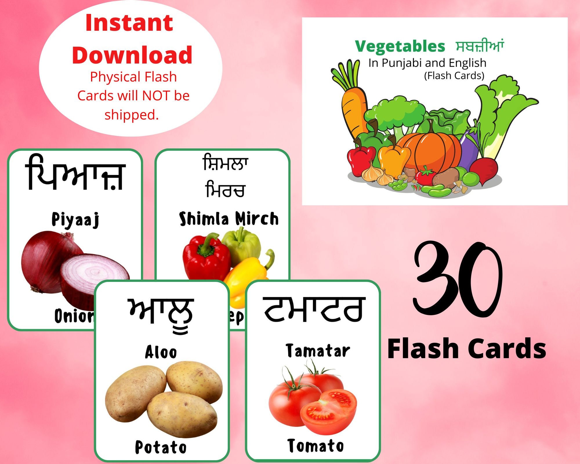 Vegetables in Punjabi Flash Cards,printable Flash Cards,punjabi English Bilingual Cards