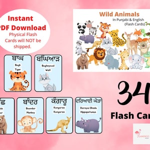 Animali selvatici in Punjabi Schede flash con foto,Schede flash stampabili,Schede bilingue inglese punjabi,Risorse per l'istruzione domiciliare,Download digitale