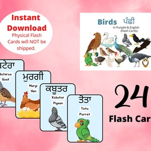 Uccelli in Punjabi Schede flash,Schede flash stampabili,Schede bilingue inglese punjabi,Risorse per l'istruzione domiciliare,Download digitale