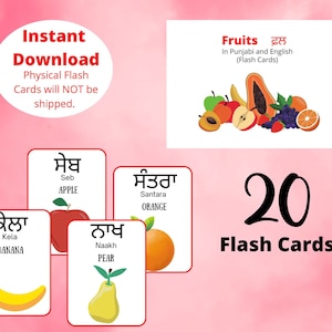 Frutta in punjabi Schede flash,Schede flash stampabili,Schede bilingue inglese punjabi,Risorse per l'istruzione domiciliare,Download digitale