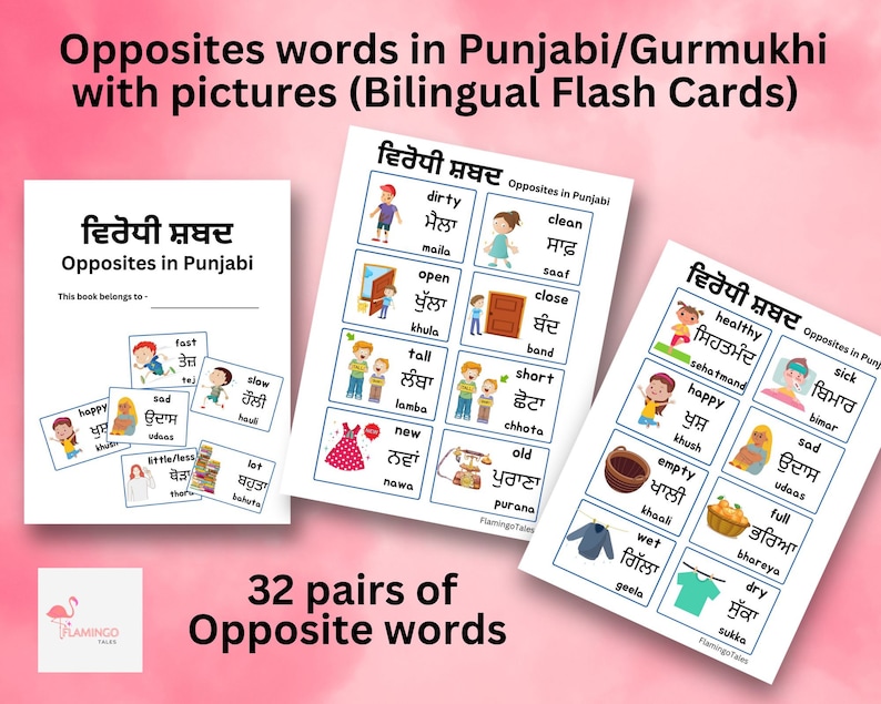 Opposites in Punjabi Gurmukhi Flash Cards, Punjabi Vocabulary, Punjabi ...