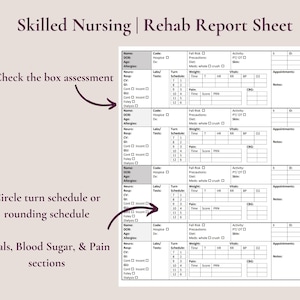 Skilled Nursing Rehab Long Term Care Nurse Brain Report Sheet (4 patients)