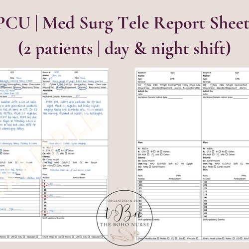 Medsurg Telemetry Nurse Brain 3 Patients per Sheet Etsy