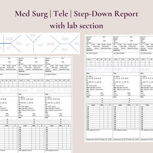 Editable Med Surg or Step Down Nurse Report Sheet for 3 patients