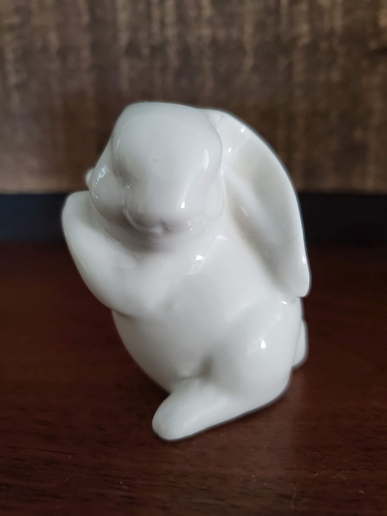 White Bunny Where/'s My Ear?