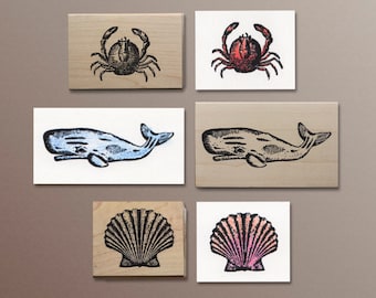 Ocean Theme Rubber Stamps by Paper Source