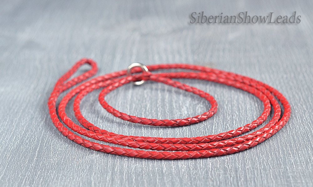 TO ORDER Kangaroo Leather Dog Show Slip Lead Etsy