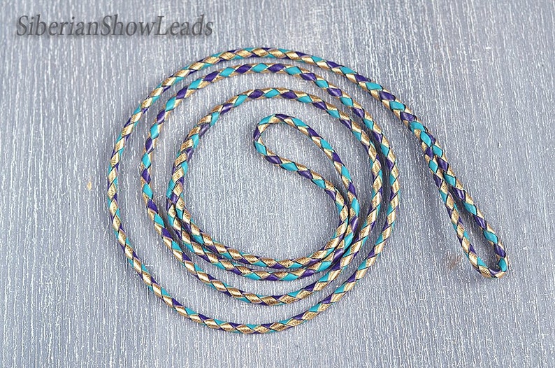 TO ORDER Kangaroo Leather Dog Show Lead with a Small Loop Etsy