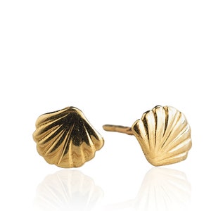 14K Solid Yellow Gold Shell Earrings, 14K Soild Gold Shell Earrings ...