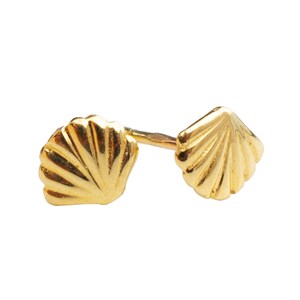 14K Solid Yellow Gold Shell Earrings, 14K Soild Gold Shell Earrings ...