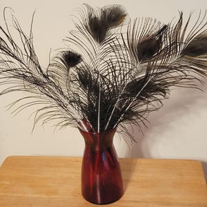 May include: A red glass vase holding a collection of peacock feathers. The feathers are primarily black with some white and yellow accents. The vase sits on a wooden table.