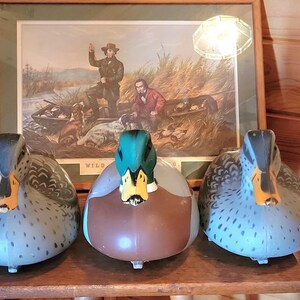 3 1967 Victor D-9 Duck Decoys: Mallard Drake & 2 Hens - Hunting Or Decorating image 3