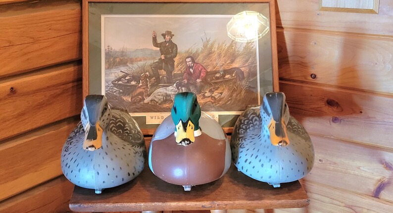 3 1967 Victor D-9 Duck Decoys: Mallard Drake & 2 Hens - Hunting Or Decorating image 3