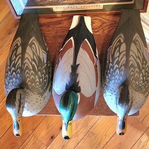 3 1967 Victor D-9 Duck Decoys: Mallard Drake & 2 Hens - Hunting Or Decorating image 2