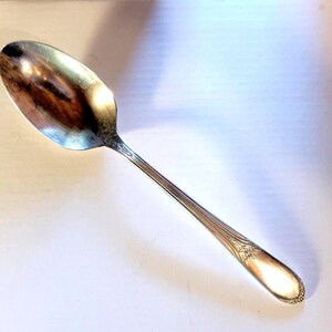 Vintage Wm Rogers Silverplate Serving Spoon: Devonshire Pattern, 1938