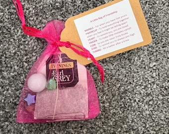 May include: A small pink mesh bag tied with a pink ribbon, containing a Twinings Earl Grey tea bag, a small white pom-pom, a green gem, and a purple star. A small brown tag reads "A Little Bag of Friendship" with a list of items and their meanings.
