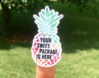 Your Sweet Package Is Here Sticker, Pineapple Sticker, Sweet Sticker, Die Cut Stickers, Packaging Stickers, Happy Stickers, Set of 24