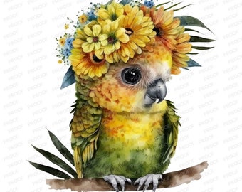 Cute baby pineapple conure clipart | Baby bird clipart | Bird and flowers clipart | Clipart for small businesses | Bird Sunflower Clipart