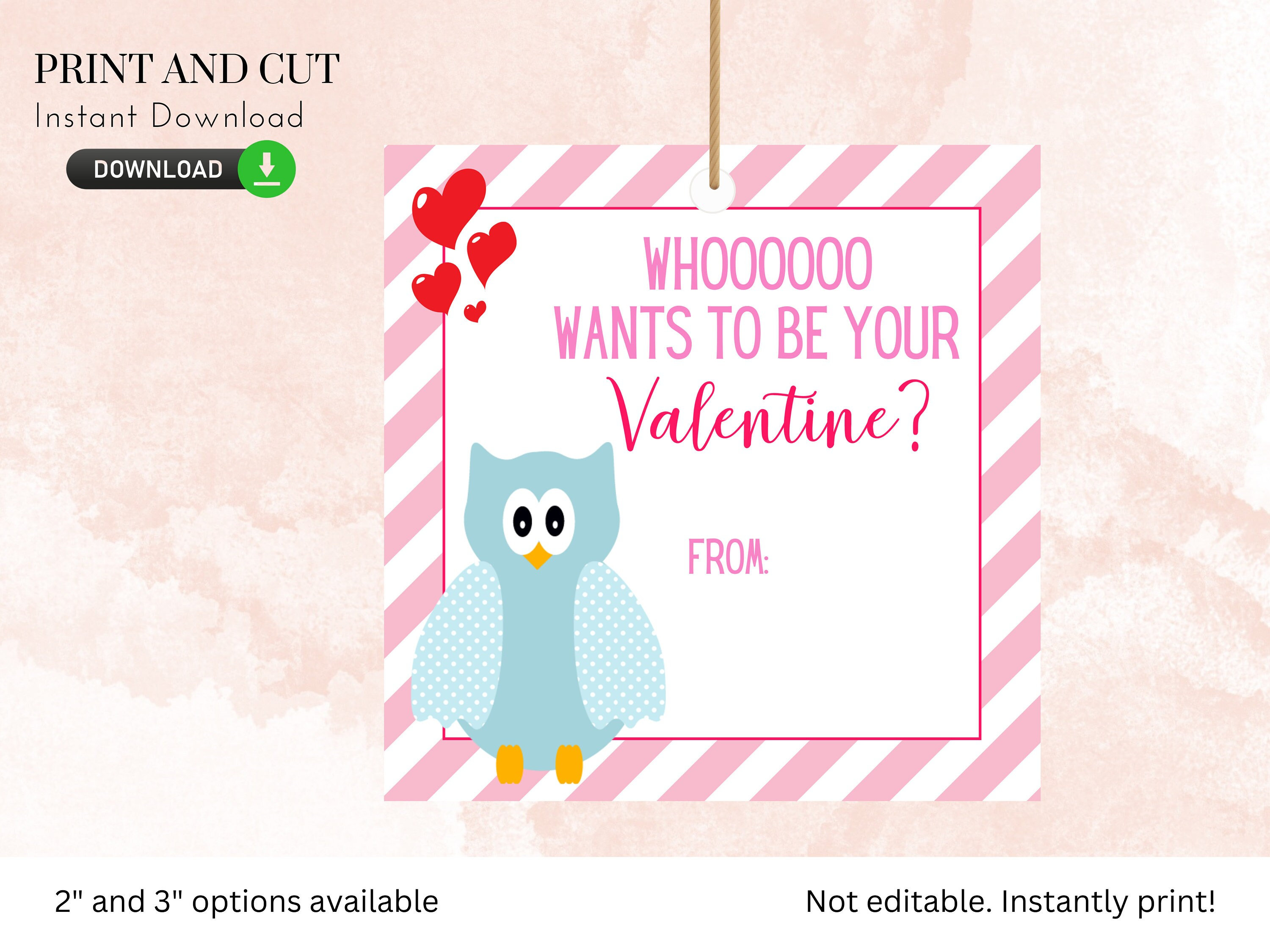 Owl Valentine's Day Tag- Printable -Valentines Day Card, School Vday Tag, DIY, school, Print and
