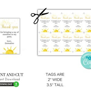 Printable first trip around the sun favor tag