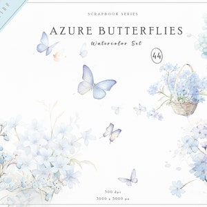 Aquarell blaue Schmetterlinge Clipart, Aquarell Blumen Clipart, Aufkleber Clipart, Aquarell Clipart, Hochzeit Clipart, Schmetterlinge Clipart