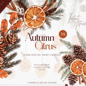 Bouquets bohèmes d'automne, Boho d'automne, fleur d'agrumes, orange séchée, clipart Noël, clipart agrumes, fleur bohème hiver, clipart aquarelle