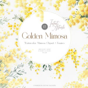 Elementi clipart floreali ad acquerello, bouquet di fiori di mimosa, floreale in oro giallo, clipart botanica per matrimonio, PNG di fiori primaverili, arte digitale