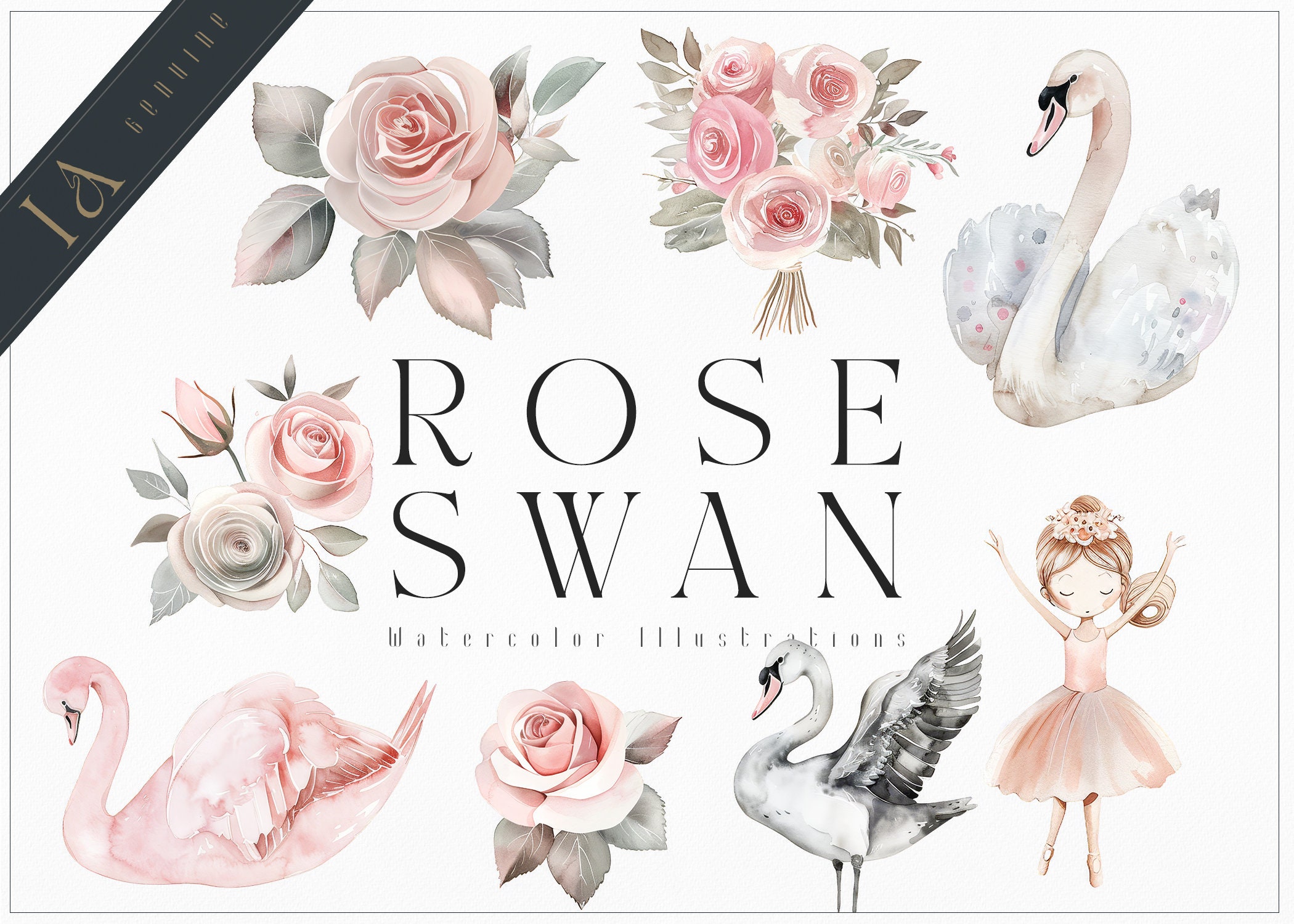Watercolor Ballerina Clipart – Pink Swan & Rose Set (digital Download ...