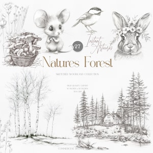 Colección de bosquejos en estilo Cottagecore, imágenes prediseñadas de bosque, animales del bosque, bocetos florales, imágenes prediseñadas de bosque, dibujos de la naturaleza