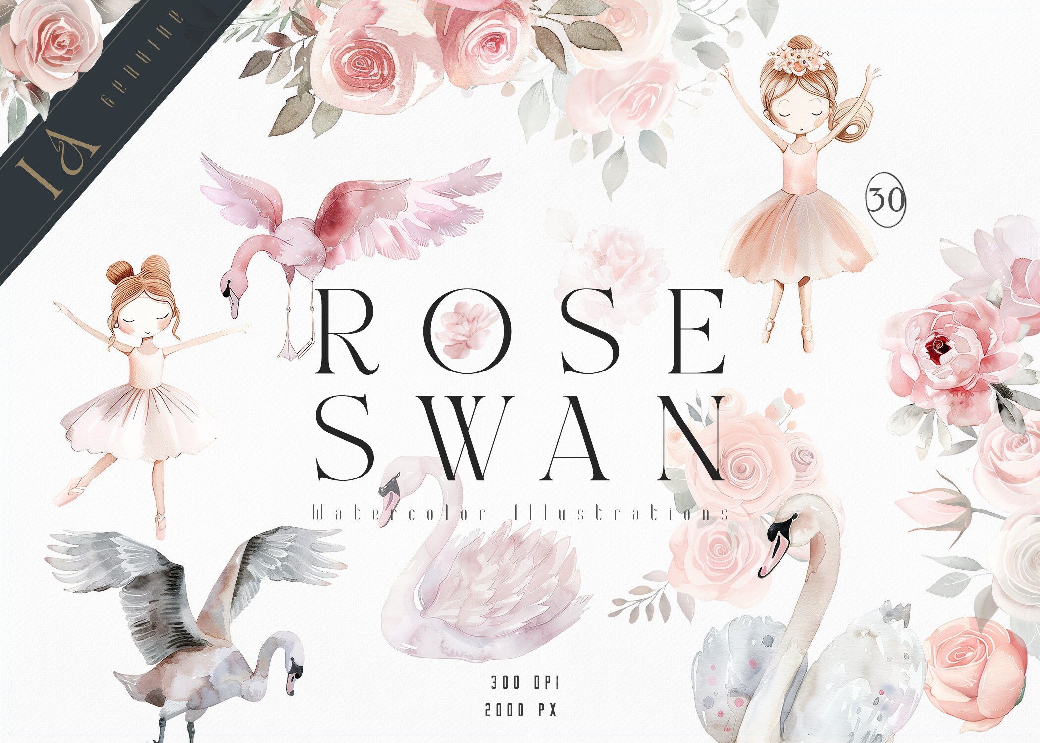 Watercolor Ballerina Clipart – Pink Swan & Rose Set (digital Download ...