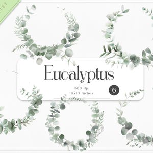 Eucalyptus Wreath Clipart, Watercolor Clipart, Greenery Wreath, Botanical Wreath, Green Leaves, Wreath Clipart,Digital Clipart