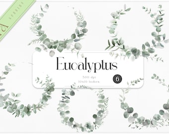 May include: Six watercolor illustrations of eucalyptus wreaths in shades of green. The wreaths are arranged in a circular pattern on a white background. The text "Eucalyptus" and "500 dpi 10x10 inches" are printed below the wreaths.