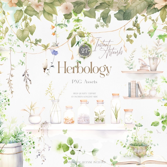 Watercolor Herbology Clipart: Vintage Botanical PNG Elements for Junk Journals, Apothecary Graphics & Scrapbooking