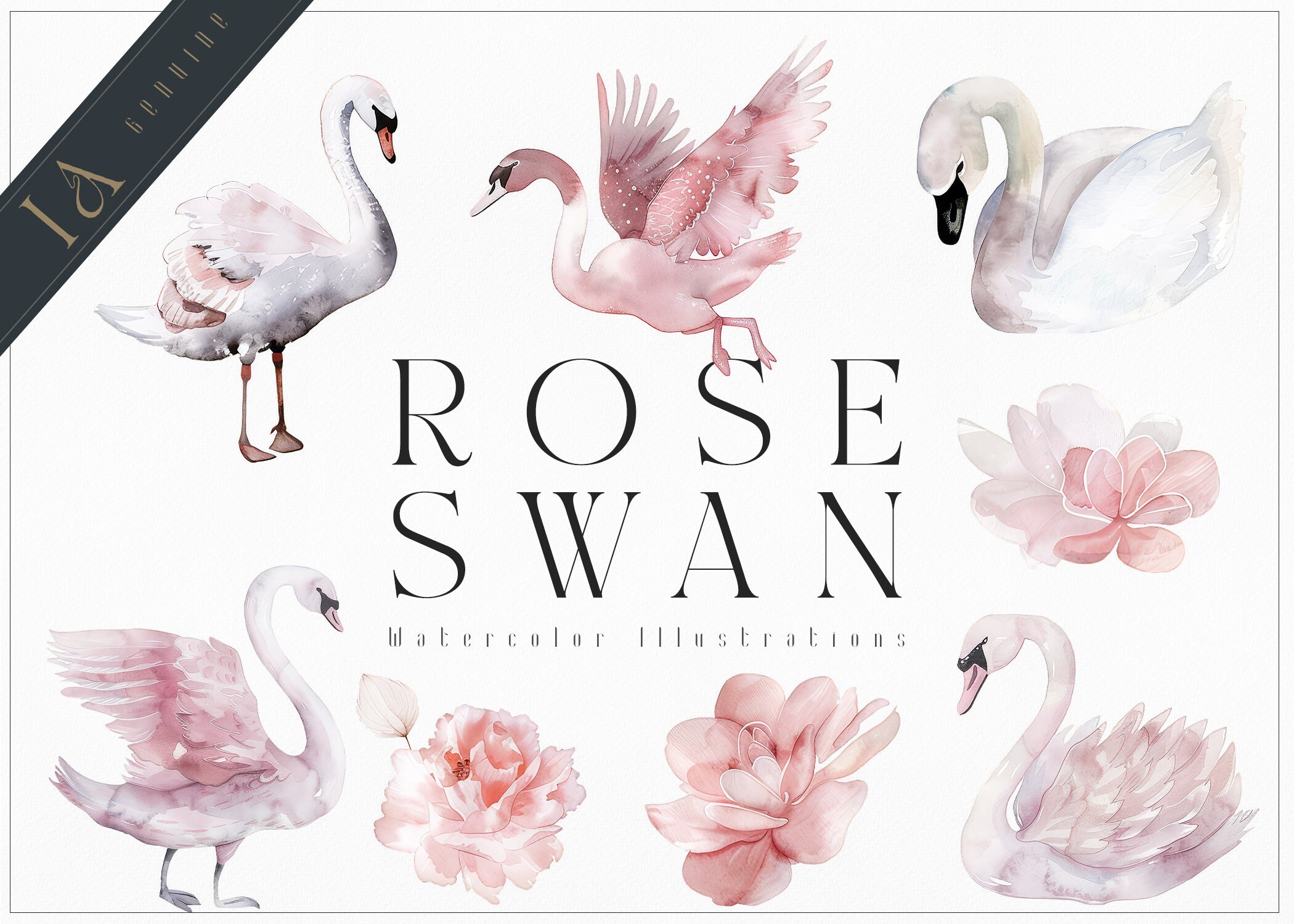 Pink Watercolor Ballerina Clipart - Dusty Pink Rose - Swan Clipart Set ...