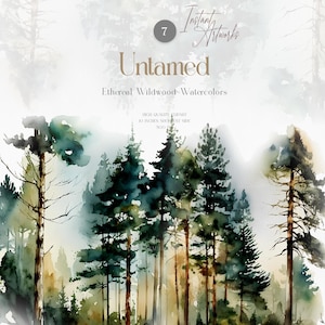 Watercolor Forest Clipart Bundle, Pine Tree PNG, Woodland Trees, Greenery Landscape Art, Nature Scene Digital Download, Commercial Use
