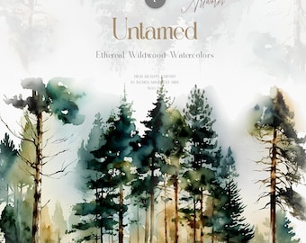 Watercolor Forest Clipart Bundle, Pine Tree PNG (Digital Download)