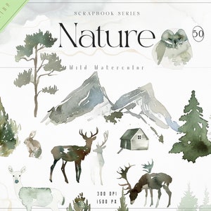 Pacchetto Clipart Natura, Fauna Selvatica Montagna Albero Capanna PNG, Bordi e Sfondi Acquerello, Kit Download Digitale Foresta, Pini da Esterno