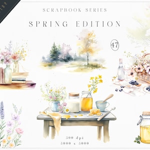 Clipart de acuarela de abejas de primavera, clipart de abejorros, clipart de abejas de miel, clipart de primavera, clipart floral, scrapbooking, clipart prediseñado