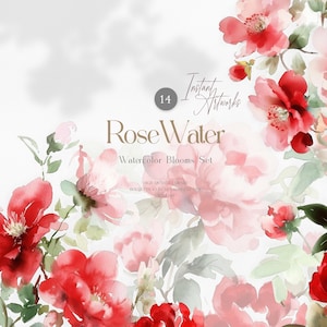 Set di clipart di fiori di rosa acquerellati in formato PNG, bouquet e elementi floreali rossi, uso commerciale, download istantaneo digitale.