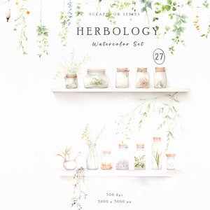 Planificateur des cliparts à base de plantes, des cliparts, herboristerie, clipart aquarelle à base de plantes, des cliparts autocollants, des cliparts Floral, des cliparts verdure