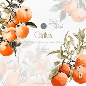 Clipart de rama de naranja en acuarela, 8 archivos PNG bañados por el sol, descarga instantánea, licencia comercial, arte digital para manualidades, diseño, álbumes de recortes
