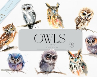 Watercolor Owl Clipart – Spring Woodland Animal PNG (Commercial Use)