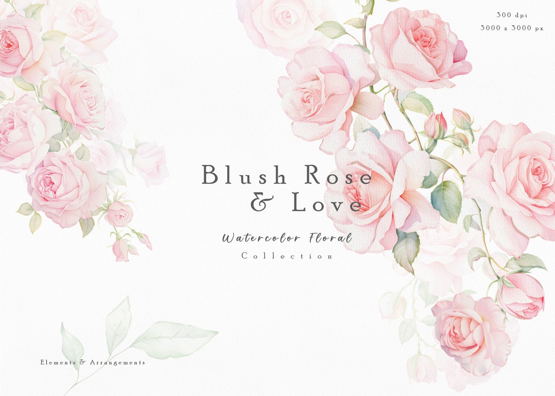 Dusty Rose Floral Clipart - Watercolor Roses - Roses Clipart - Blush ...