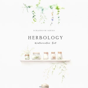Op de afbeelding: Waterverfillustratie met het woord "HERBOLOGY" en een set potten op een plank. De afbeelding bevat hangend groen en een pot met een houten lepel, wat een botanisch thema oproept.