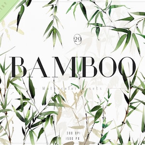 Conjunto de clipart de bambu em aquarela, padrões de bambu sem costura, PNGs de bambu para fazer cartões, mídia mista, artesanato em papel digital