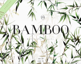 May include: Watercolor illustration of bamboo leaves in shades of green on a white background. The text "BAMBOO Watercolor Assets" is in black font. The number "29" is in a circle.