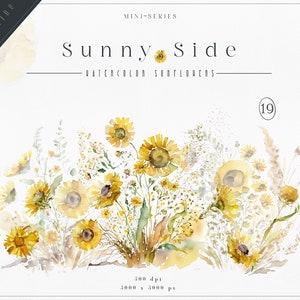 Clipart tournesols aquarelle, clipart été, tournesols Premade clipart, clipart aquarelle
