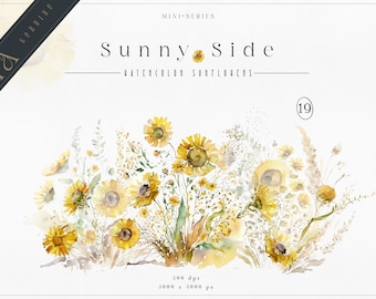 Watercolor Sunflower Clipart, Summer Floral PNG (Digital Download)